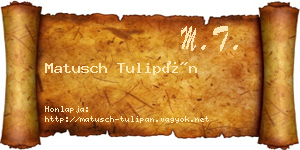 Matusch Tulipán névjegykártya